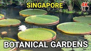 Singapore Botanic Gardens   UNESCO World Heritage Site   Singapore Botanic Gardens Weekend Walk