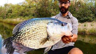 19 INCH 4 POUND CRAPPIE