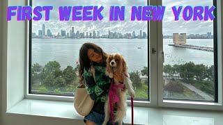 MOVING DIARIES GINGER IN THE CITY PARSONS ORIENTATION WEEK… WEEKLY VLOG