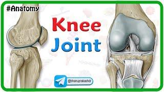 Knee Joint Anatomy Animation  Bones Ligaments Menisci﻿ Innervation Blood supply and Movements