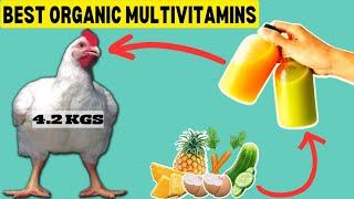 4 BEST ORGANIC MULTIVITAMIN SUPPLEMENTS FOR Broilers Layers and Local Chicken