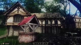 Oblivion - Modded - 2016 - Walking