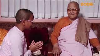 श्रद्धेय धम्मवती गुरुमां  BODHI REPORT  BODHI TV