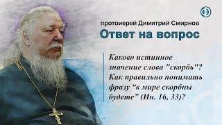 Каково значение слова скорбь? Как правильно понимать фразу в мире скорбны будете Ин. 16 33?