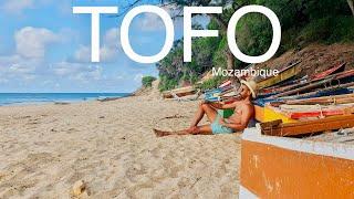 TOFO MOZAMBIQUE The only Tofo travel guide youll ever need