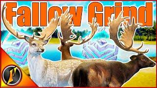 A New Look Fallow Multimount  How I Grind for Fallow Deer