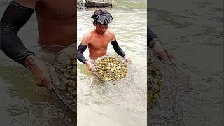 Beruntung pria iniTemukan emas di sungai #gold #mencariemas #videos