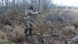 Осень. Расчищаю болото для охоты весной с подсадными  утками. Часть 1 .