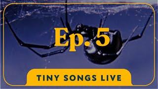 THE SPIDER ft. Ian Trusheim Tiny Songs LIVE Ep. 5