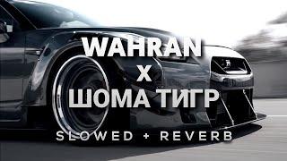 Randall Wahran x Asanrap Шома тигр Slowed + Reverb