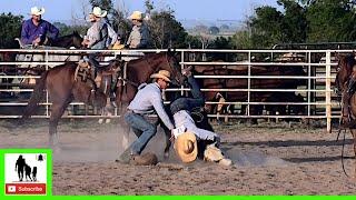 Stray Gathering - 2020 Meade Ranch Rodeo  Saturday