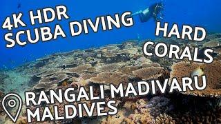 4K HDR Scuba Diving - Hard Coral Garden - Rangali Madivaru South Ari Atoll Maldives