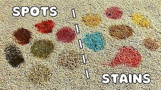 How to Remove Any Carpet Spot or Stain in Two Steps or Less