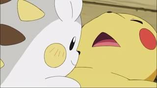 Pikachu and Togedemaru play together Pokemon Sun and Moon Ultra Adventures HD Clips