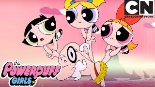 To The Rescue  The Powerpuff Girls Compilation  Cartoon Network