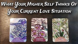  What Your Higher Self Thinks About Your Current Love Situation   Pick A Card Love Reading