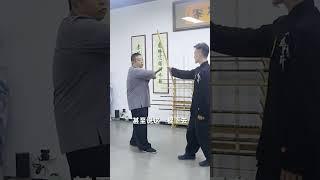 这就是八极拳猿猴坠枝的威力，这么一下谁也受不了！#传武 #八极拳 #功夫