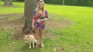 Whitney Wisconsin the world infamous dog molester is back.