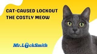 Cat-Caused Lockout The Costly Meow