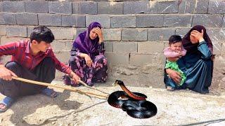 See how a poisonous snake hid in the house and attacked Ashraf who was cleaning