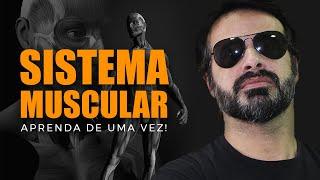 SISTEMA MUSCULAR ENTENDER TODOS OS MÚSCULOS DO CORPO NÃO SERÁ MAIS UM PROBLEMA PT. 1