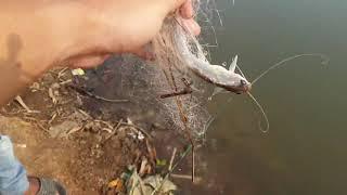 MANCING IKAN LIAR DI CIBARUSAH KAB. BEKASI