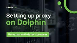 Setting up proxy in the Dolphin anti-detection browser