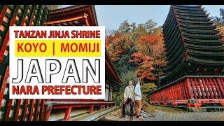 Tanzan Jinja Shrine  Autumn Japan Nara Prefecture