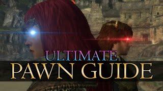 ULTIMATE PAWN GUIDE  Dragons Dogma