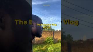 The Everyday Vlog - 181