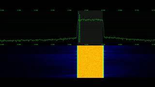 Digital Pre Distortion Pure Signal Demonstration  Signal Phantom