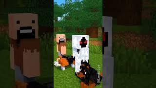 Help Herobrine In Dog Competition... #shorts #minecraft