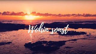 Wohin sonst Lyric-Video