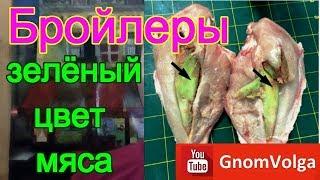 Бройлеры зелёный цвет мяса