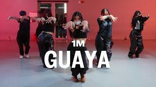 Eva Simons - Guaya  Harimu Choreography