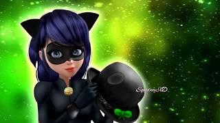 Miraculous Ladybug Speededit Chaton Noir