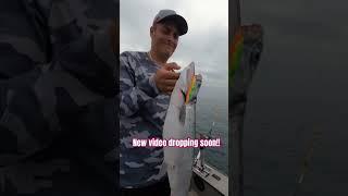 “Coho Killer” spoon from Northeast Troller smacking another big Coho Salmon  #shorts #fishing