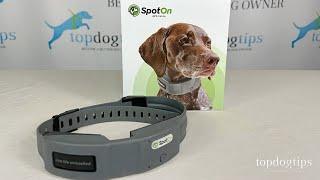 Review SpotOn Dog GPS Collar