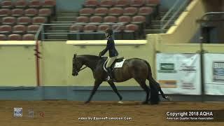 A Judges Perspective 2018 AQHYA Hunter Hack World Champion