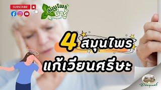 4 สมุนไพร แก้เวียนศีรษะ มึนหัว วิงเวียน l สมุนไพรน่ารู้ 2024