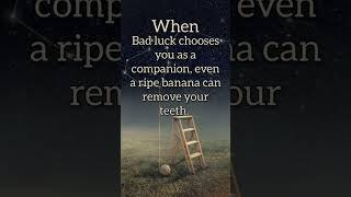 when bad luck chooses you as a companion even.... #lifeadvice