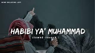 Habibi Ya Muhammad slowed reverb Beautiful Nasheed Naat  l Lofi Version l Mind Relaxing Naat