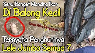 Mancing ikan di balong kecil ternyata penghuninya lele jumbo semua