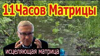 11Часов Матрицы Гаряева Полное Исцеление Всего Организма Можно Слушать Вечно.