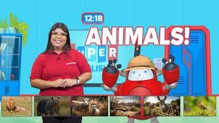 Superbook Português│ Super English │ ANIMAIS - ANIMALS