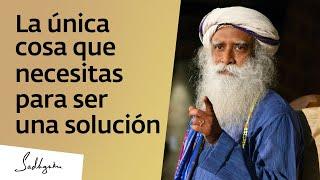 ¿Buscas consuelo o una solución?  Sadhguru