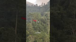 APES KEMAGRIBAN PULANG DARI CURUG KETEMU KUNTILANAK NONGKRONG #viral #shorts #gunung #kuntilanak