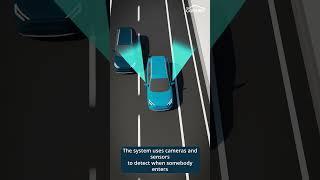 What is Blind Spot Monitoring?