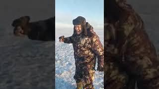 Традиции Чудского озера 2#fishing #приколынарыбалке #съелерша