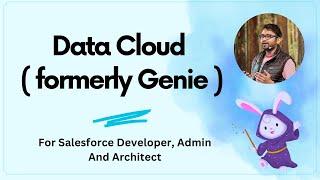 Salesforce Data Cloud  formerly Genie  for Admins and Developers